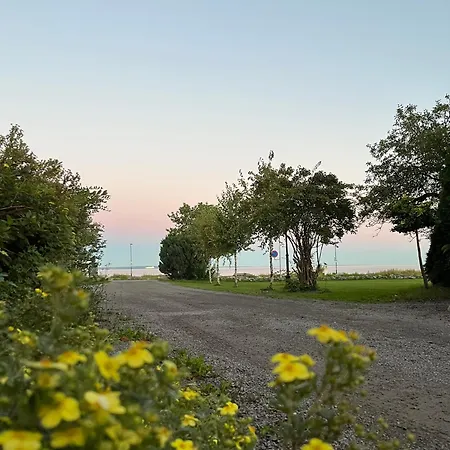 Pa Oslofjordens Storste Og Populaere Badestrand * Tønsberg
